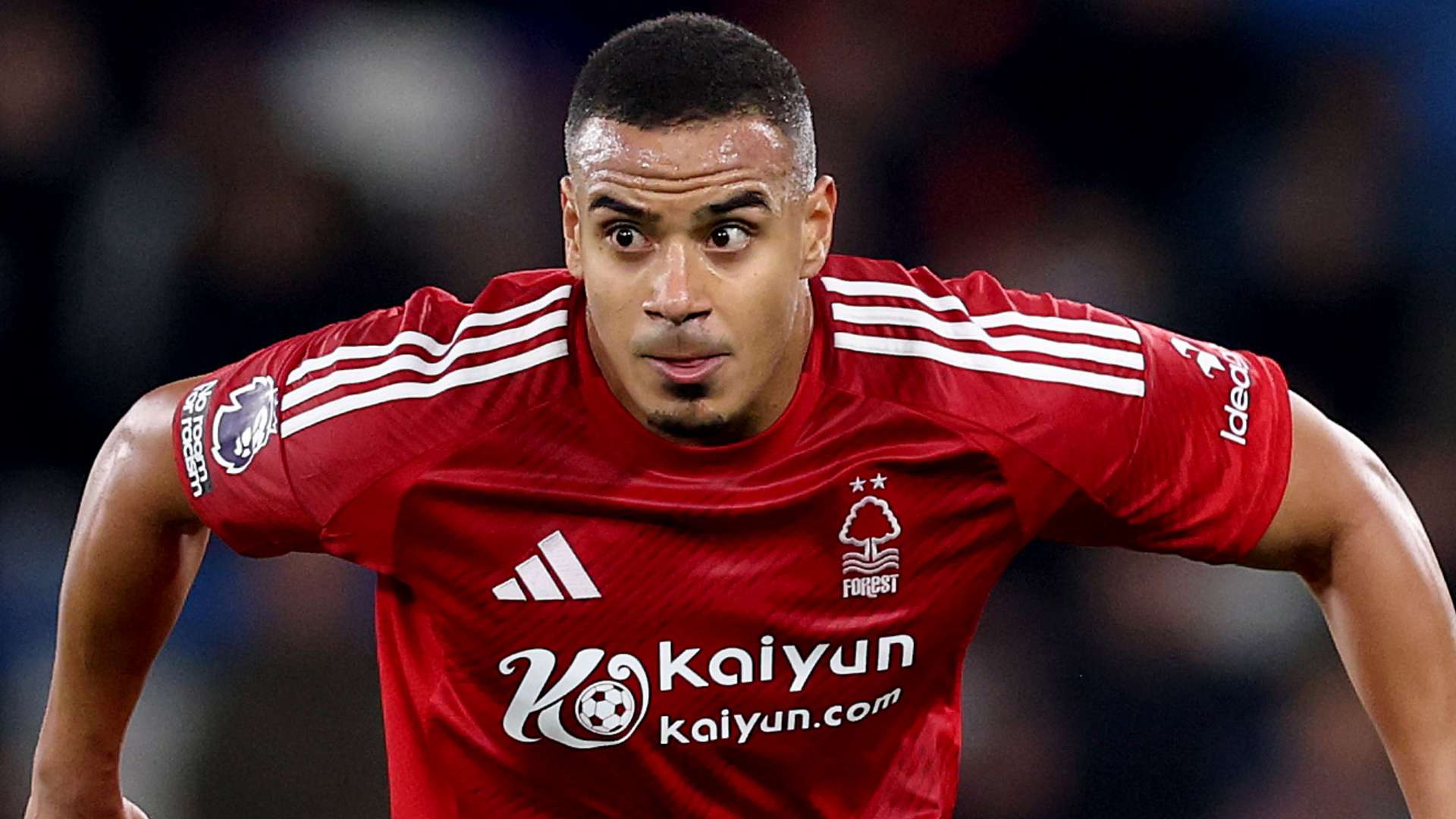 没有平坦的 没有平坦的