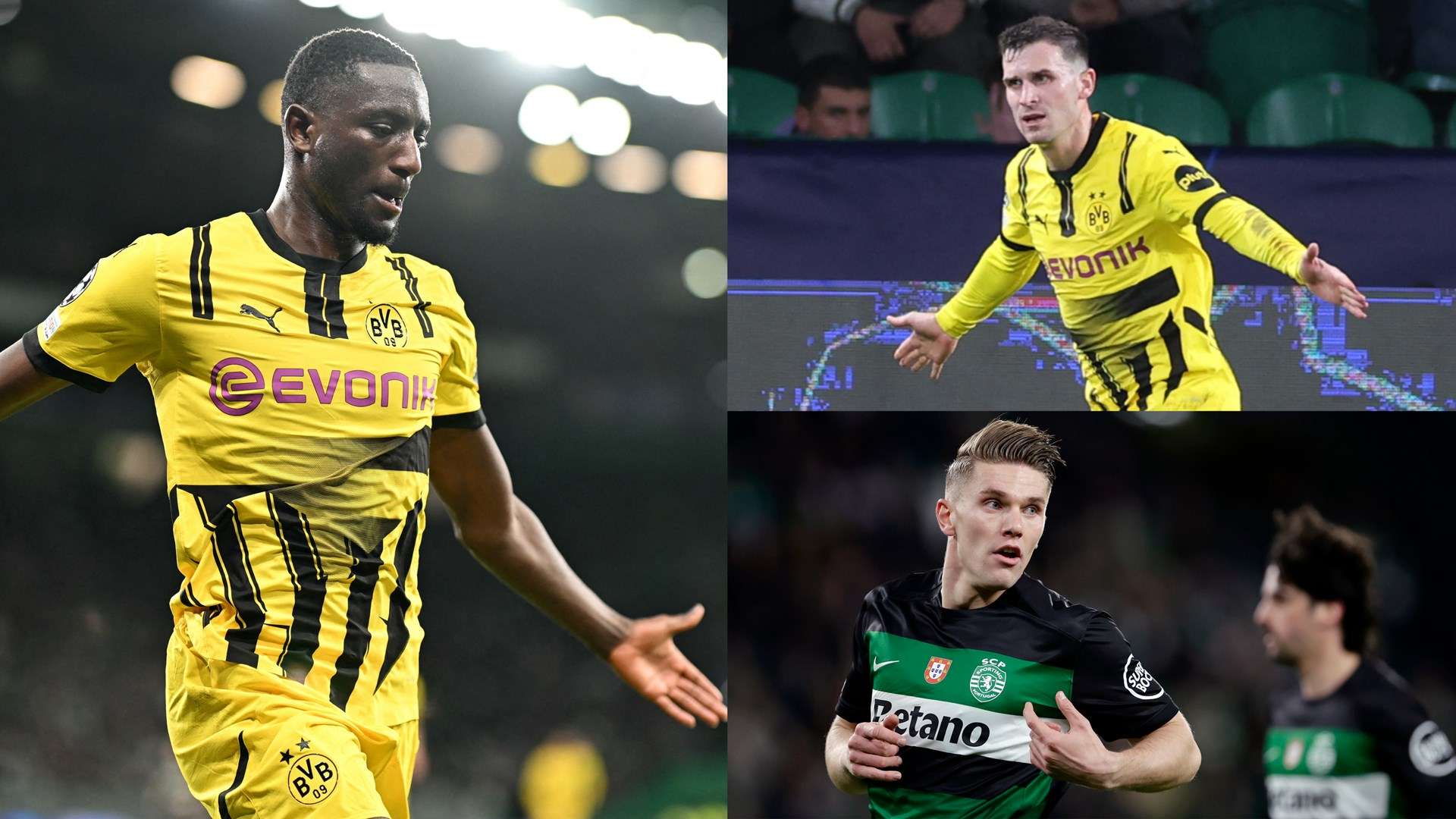 性的进球 性的进球